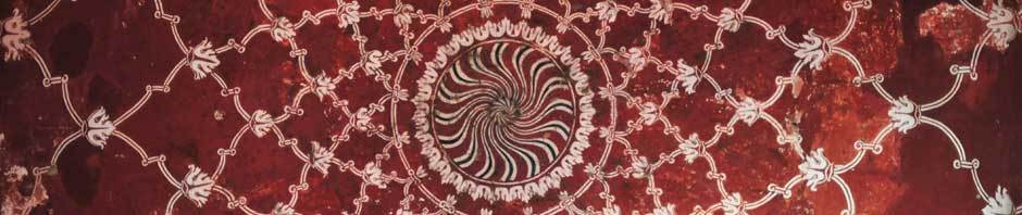 Ensemble Euphonia Pulcherrima